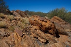Olive Pink Botanic Garden: Celebrating Central Australia’s arid zone flora
