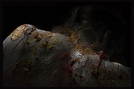 Body of landscapes