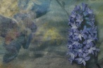 Colourways Trend Forecast Workshop