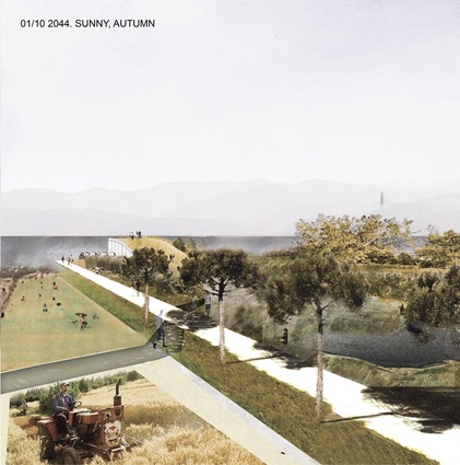 Sumner wetland thesis