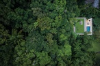 Jungle House