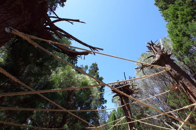 Upside-down tree trunks express the form of trees while creating a naturalistic response to interactive structures.
