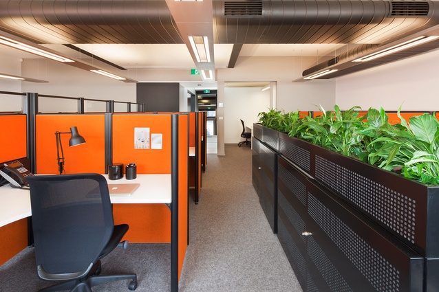 Office for Gary Peer and Associates – McAllister Alcock Architects
