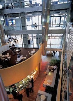 Detail of the west “cafe” atrium, showing the use of timber.