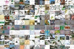 2013 Queensland Landscape Architecture Awards