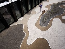 Looking over one of the courtyards, with landscape design by Site Office. The sharp contrast in the design is intended to provide the dogs with stimulating outlooks.