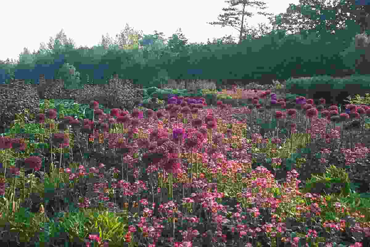 Wisley Garden in Surrey, England, by Piet Oudolf.