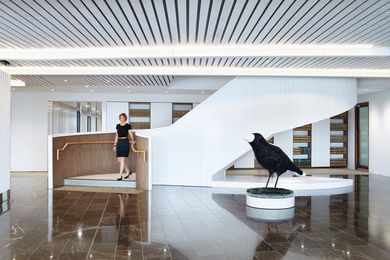 A bejewelled magpie by artist Susan Lincoln stands in the reception area.