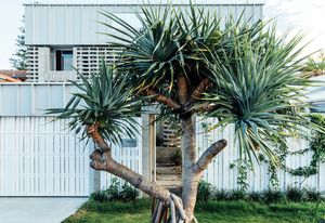 From the street, Mermaid Multihouse appears as grandly singular, with layered allusions to local architectural styles.