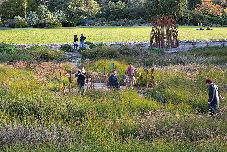 The Adelaide Botanic Garden First Creek Wetland designed by Taylor Cullity Lethlean with SKM, David Lancashire Design and Paul Thompson. 