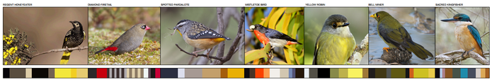 Lymesmith's colour scheme for the facade references local bird life.
