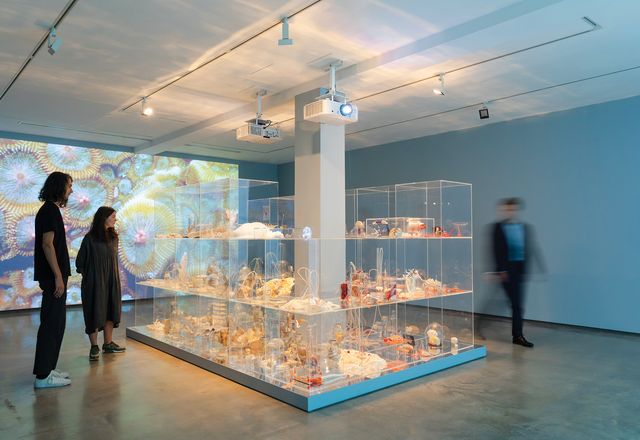 Janet Laurence, Deep Breathing: Resuscitation for the Reef, 2015–16/2019, installation view, Museum of Contemporary Art (MCA) Australia, 2019. Image courtesy and copyright the artist.