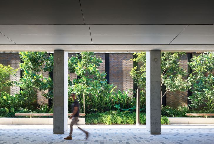 Throughout the building and public domain, subtropical plantings have been planted for maximum restorative benefit.