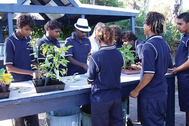 The Wiltja nutrition class.