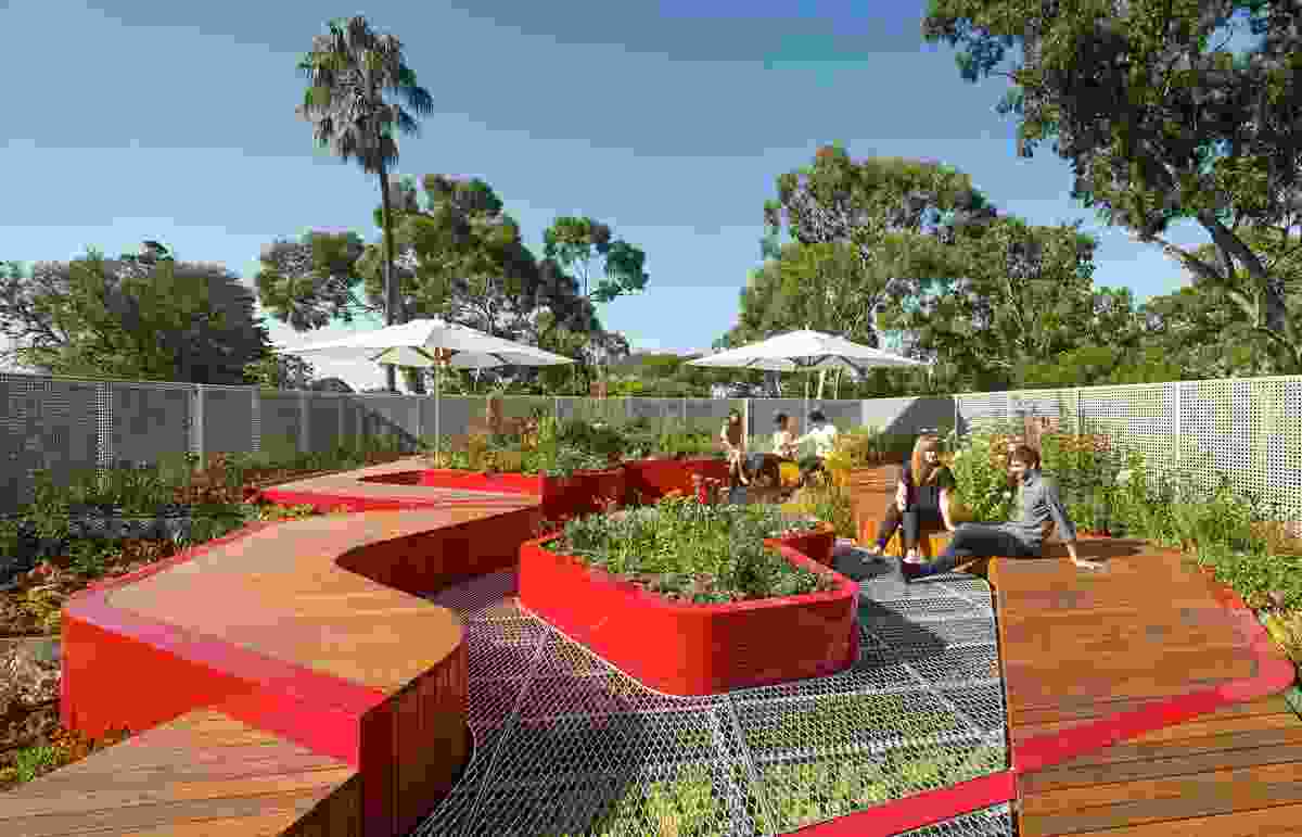 A University of Melbourne Study finds glancing at a green roof, even for a short time, can markedly boost concentration. The Burnley Living Roofs at the University of Melbourne by Hassell received a design award at the 2014 Victorian Architecture Awards.