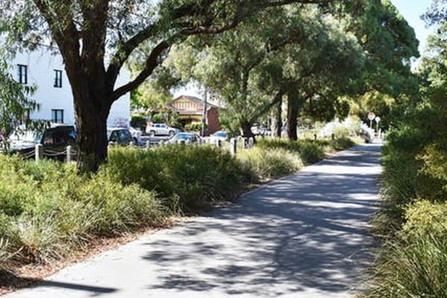 Our mental health benefits when nature is part of our neighbourhoods, as in this residential street in Fitzroy, Melbourne.
