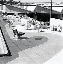 In Karl Langer’s original design the rooftop was used as an outdoor showroom. Photograph Laurie West c.1956.