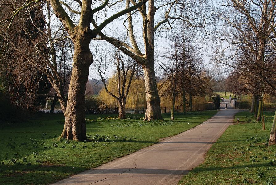 A naturalistic path through a London Park.