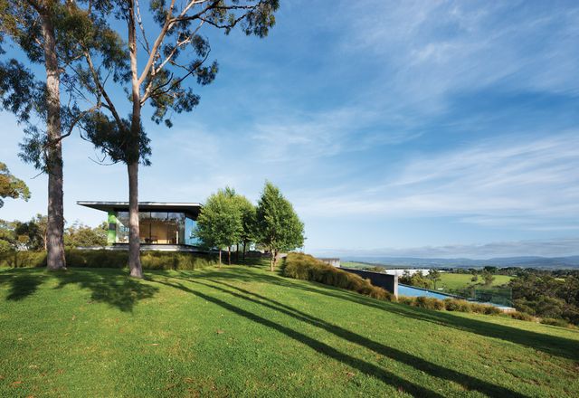 The horizontal planes of the house contrast with the ragged verticality of the nearby eucalyptus grove.