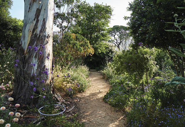 The Heide Healing Garden is a sensory garden and programmed destination for visitors.