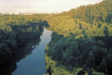 Reflecting a commitment to conservation, Homebush Bay’s waterways were restored during the project.