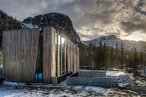 A sustainable alternative to tropical hardwood