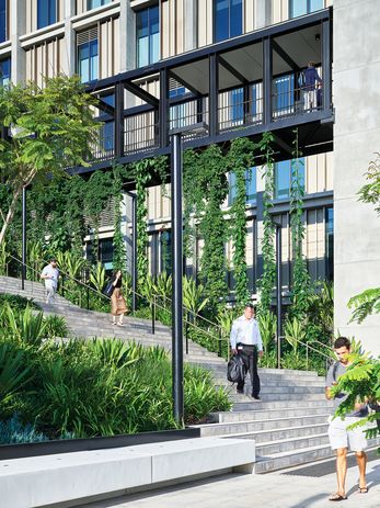 Trellises are integrated into the building’s facade treatments and support climbing vines.