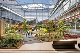 Refreshed Australian Urban Design Awards closing soon