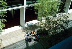 The decked courtyard,
located between the two
wings, at podium level.