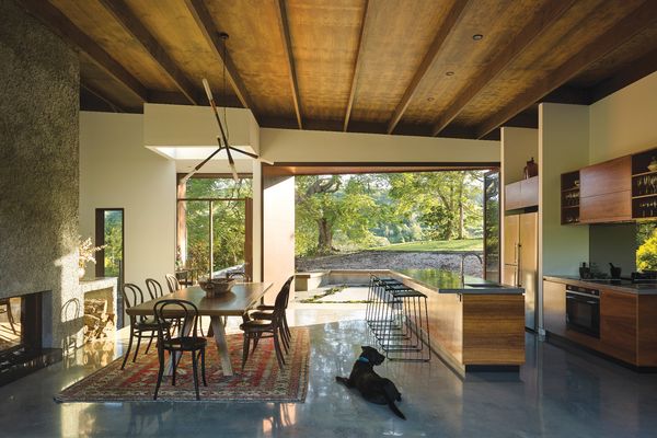 The kitchen and dining space open onto a two-level courtyard, where a treasured poinciana tree marks the point where the man-made environs finish and the wildness takes over.