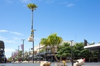 New public artwork brings local landscape into Wollongong mall