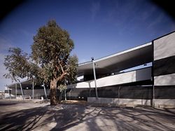 The ramped eastern edge of the building provides access to the five wings of kennels.