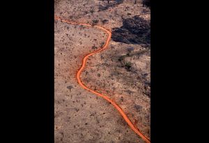Photographic exhibition explores Tanzania's landscapes