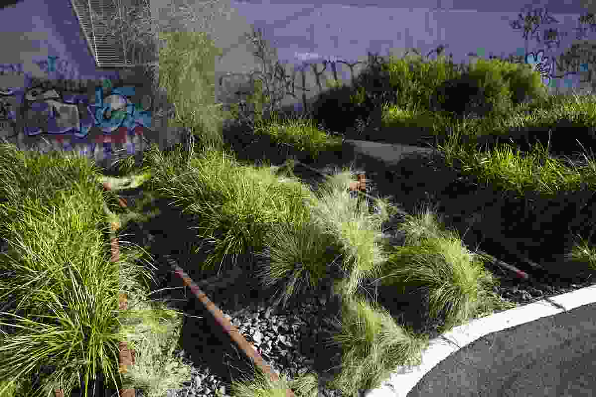 Feature planting detail  - Recycled rail tracks infilled with ballast and indigenous grasses, references the railway context and enhances wild industrial aesthetic.