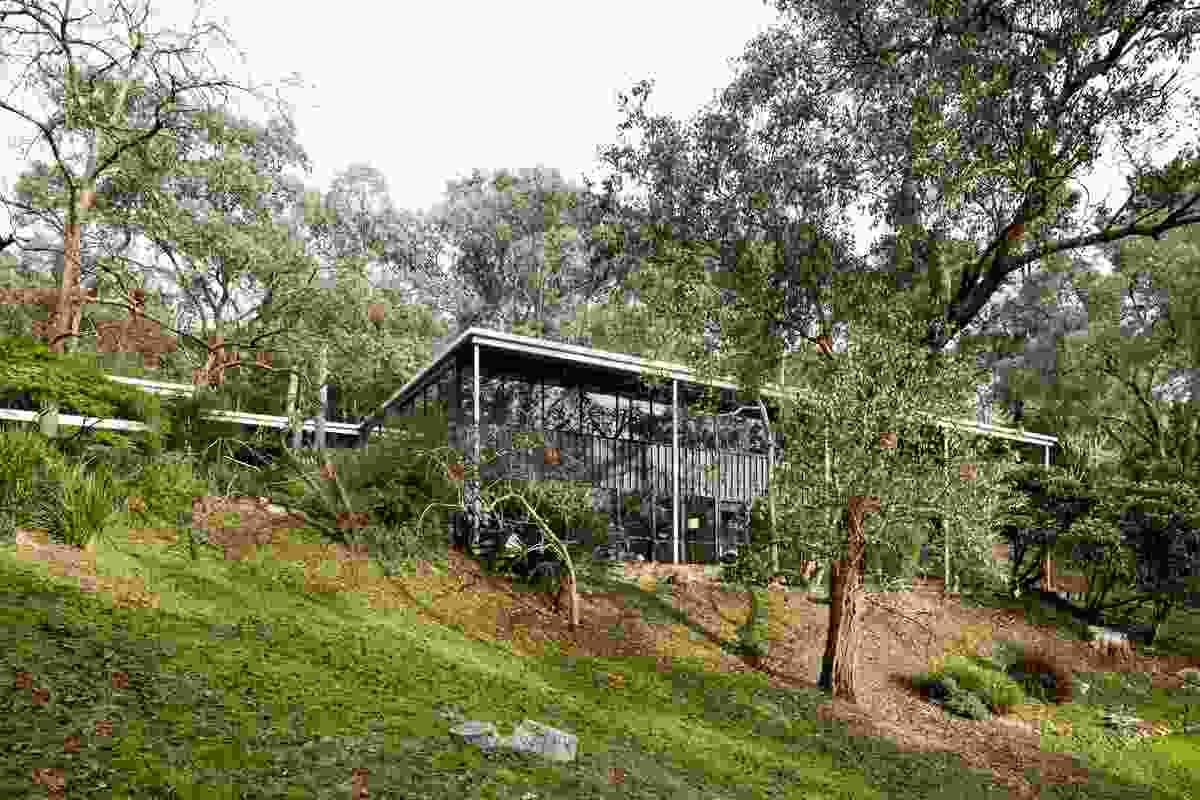 Expansive glazing frames views of the bushland and is sheltered by a flat roof supported by slender columns.