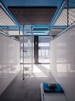Dog kennel. The complex has been planned so that each kennel maintains the dog’s privacy, without the dogs being distracted or distressed by visual contact with other dogs.