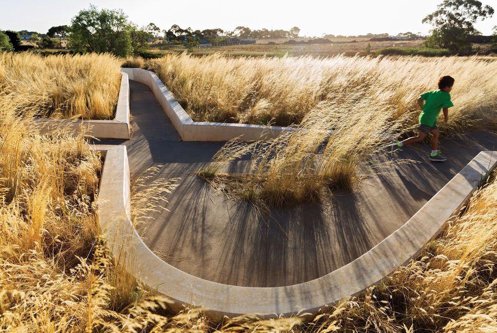 Provocation Australia Grassland: A provocation | Landscape Australia