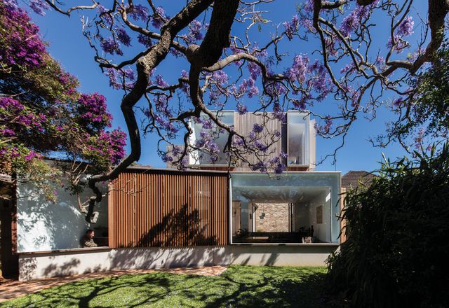 The neatness of the facade’s spotted-gum battens and crisply framed windows is offset by thick jacaranda branches that twist across the garden.
