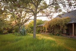 Thoughtful garden-making