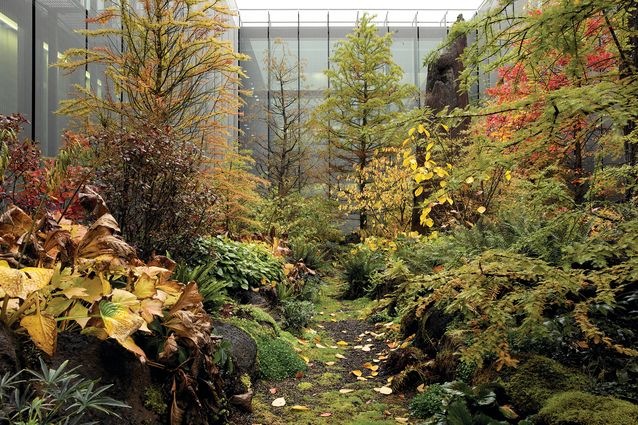 Models without numbers: The landscapes of Günther Vogt
