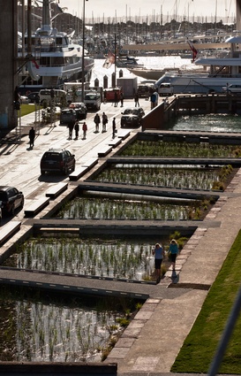 North Wharf Promenade, Silo Park and Jellicoe Street by Taylor Cullity Lethlean with Wraight + Associates.