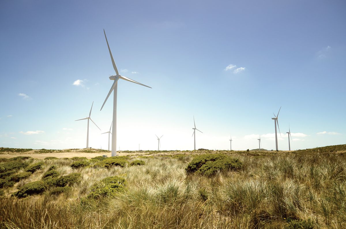 A collection of wind turbines in a rural setting, highlighting the landscape associated with renewable energy generation.
