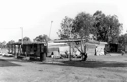 House 36. Built by Clem’s brother for his own family. It also had a bough shade attached that was about the same size as the house. These bough shelters were quickly erected and renewed for family gatherings. Guests often sleep under the bough shade at night when there is not enough room elsewhere.