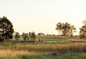The design of Bungarribee Park celebrates abstracted notions of bush and overtly constructed ecologies.