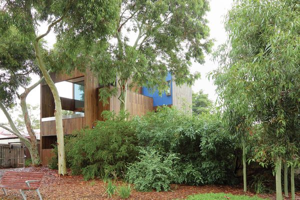 The intention was for the house to be invisible from the park, camouflaged behind the gum trees.