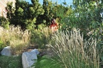 Living landscapes: Five residential gardens