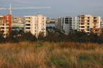Sydney Olympic Park 2030: The city in a park