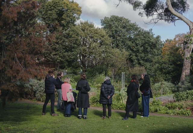 Open Nature, a series of roaming workshops presented by Open House Melbourne, included a walk to Yaluk Langa (Woiwurrung for “River’s Edge”), an indigenous garden developed by the site’s Traditional Custodians and the Heide team.