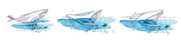 Concept drawings for Australian Underwater Discovery Centre by Baca Architects.