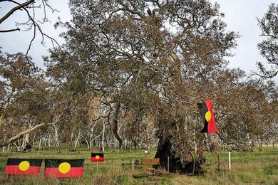 The government intends to destroy Djab Wurrung sacred trees and sites to upgrade the Western Highway at the same time as it seeks heritage status for the Eastern Freeway.